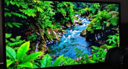 enhanced visual quality experience