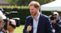 Prince Harry Surges In Global Coverage